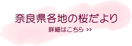 奈良県各地の桜だより