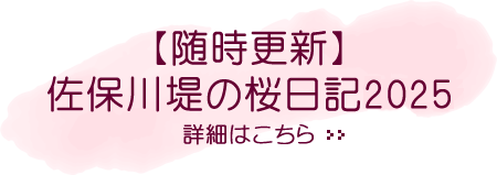 随時更新！佐保川堤の桜日記2025